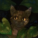 anonymous-ampersand avatar