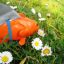 anonymous-with-a-phd avatar