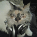 anonymous12crazy avatar