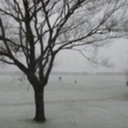 anonymousblueberry avatar