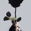 anonymousbubblez avatar