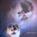 anonymouscandy avatar