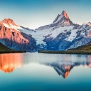 anonymouse-art avatar