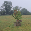 anonymousescapades avatar