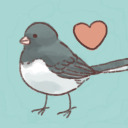 anonymousjunco avatar