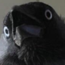 anonymouslycryptic0 avatar