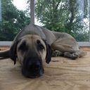 anonymouslyheretoday avatar