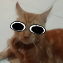 anonymousmeower avatar