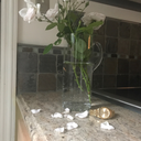 anonymousqualities avatar