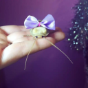 anonymousroach avatar