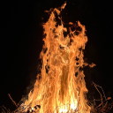 anonymousscience avatar