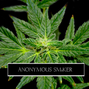 anonymoussmoker-blog avatar