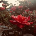 another-antijail-child avatar