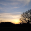 another-casual-blog avatar