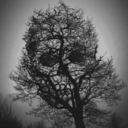 another-day--another-life avatar