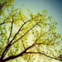 another-day-gone avatar