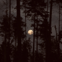 another-dead-account avatar