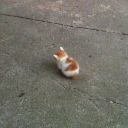 anotherangryace avatar