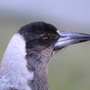 anotheranotherphotographyblog avatar