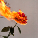 anotherasinineessay avatar