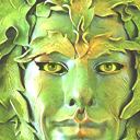 anotherbogwitch avatar