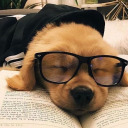 anotherbookhalfunread avatar