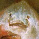 anothercrappyartblog avatar