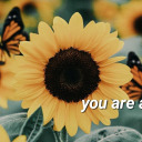 anotherdayinthelife avatar