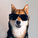 anotherdoginsunglasses avatar