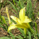 anothergirlontheirt-blog avatar