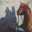 anotherhorseblog avatar