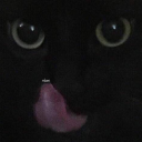 anotherhumandisaster avatar