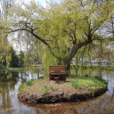 anotherlibrocubicularist avatar