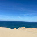 anotherlies-x avatar