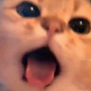 anotherrandomfandom avatar