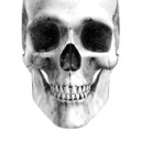 anotherthirstsideblog avatar