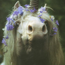 anotherthoughts1 avatar