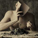 anotheryellowanimal avatar