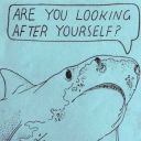 anskushitpostaa avatar