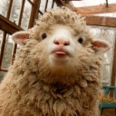 ant-i-soc-ial avatar