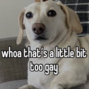 anthony-james-rogers avatar