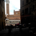 anthonyastark avatar