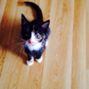 anthonydhanraj-blog avatar