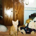 anthonyzamorauniverse avatar