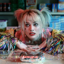 anthropawlogie avatar