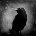 anthropologic-artist avatar