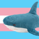 anti-canon-trans-showdown avatar