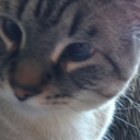 anti-social-gtg avatar