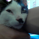 anti-socialight-blog avatar