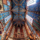 antigravityl0ve avatar